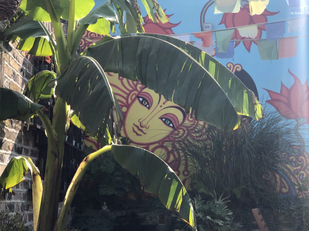 Where can I find Vegan Hotels Near Dreamland?